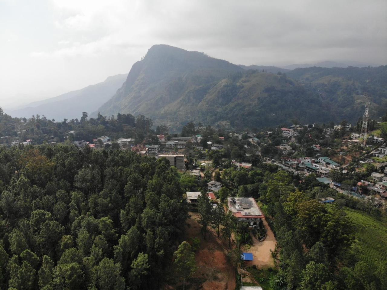 Forest Paddy Homestay Элла Экстерьер фото